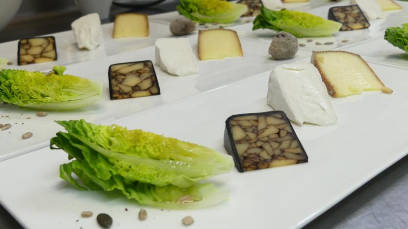 Cheese selection from Europe